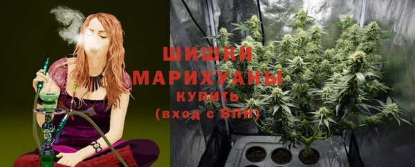ешки Алексин