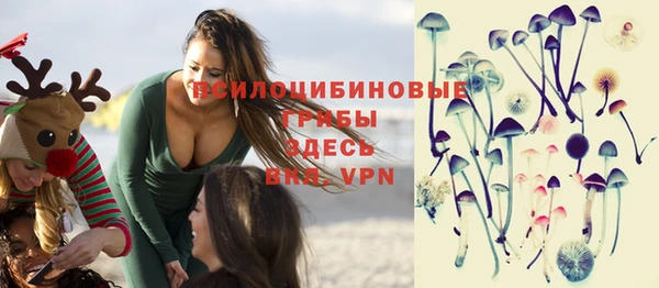 дмт Алексеевка