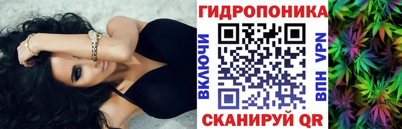 купить цена Далматово Канабис сатива